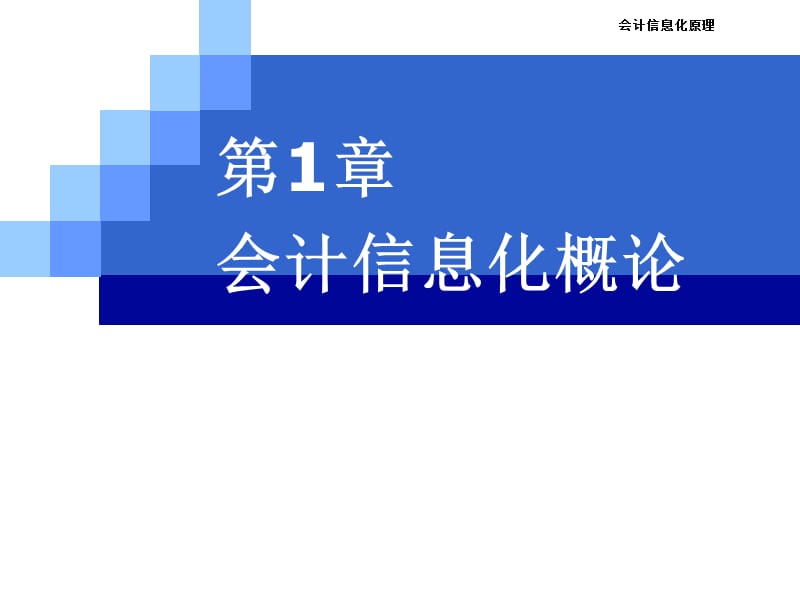 《会计信息化概论》PPT课件.ppt_第1页