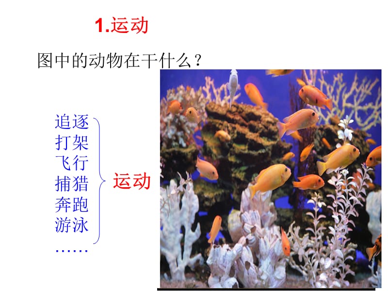 《生物的基本特征》PPT课件.ppt_第2页