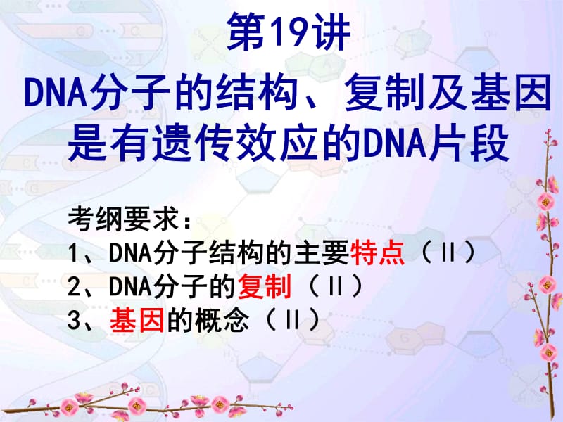 DNA分子的结构与复制汇报课课件.ppt_第2页