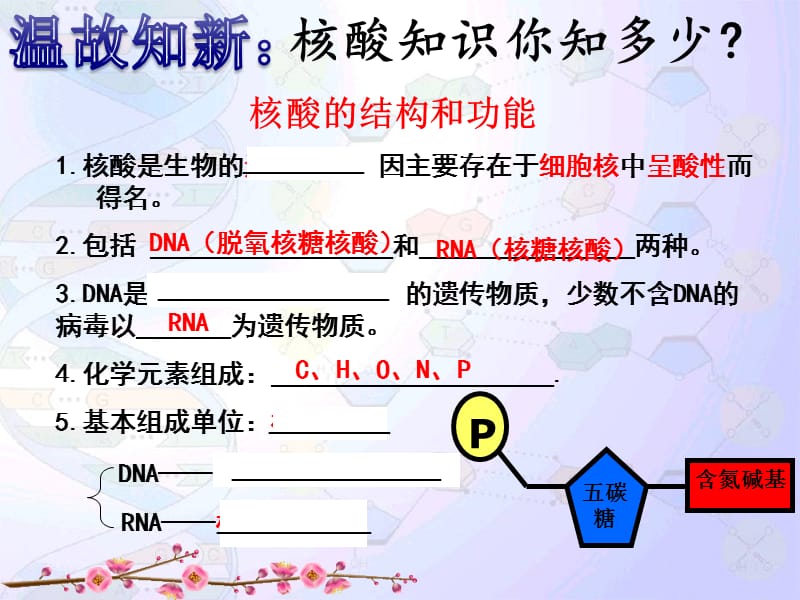 DNA分子的结构与复制汇报课课件.ppt_第3页