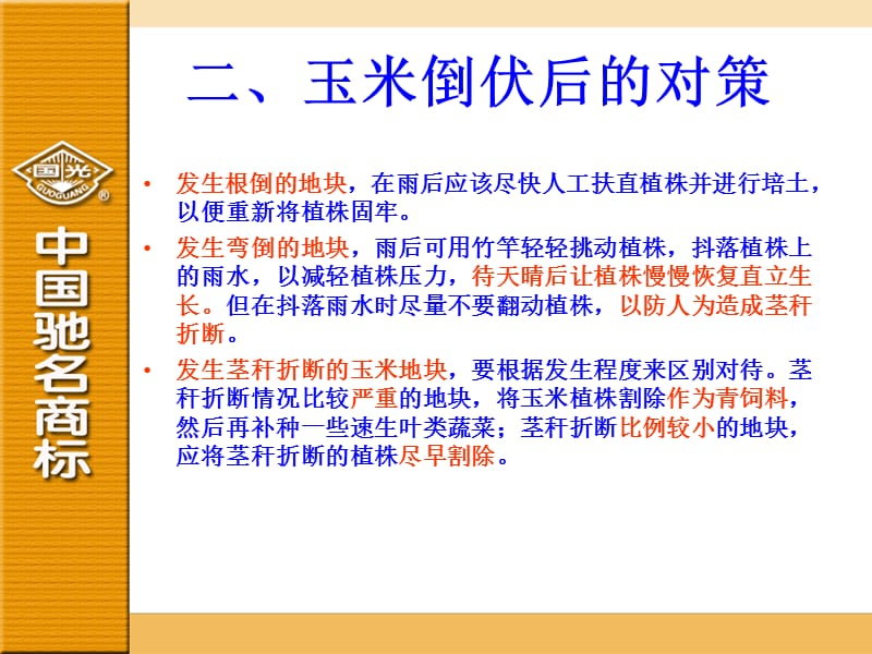 《玉米如何防倒增产》PPT课件.ppt_第3页