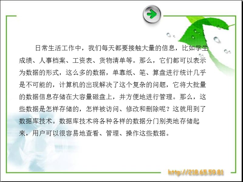 《数据库应用基础》PPT课件.ppt_第2页