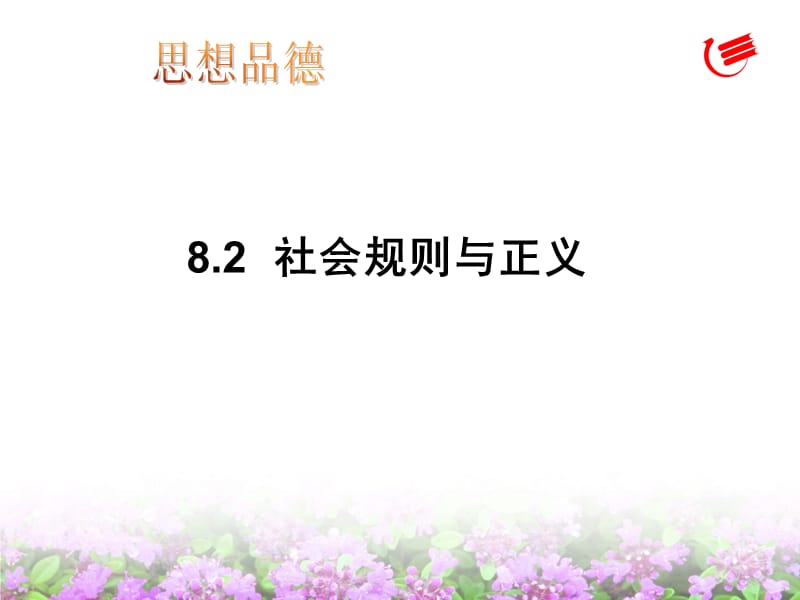 《社会规则与正义》PPT课件.ppt_第3页