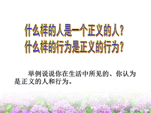 《社會(huì)規(guī)則與正義》PPT課件.ppt