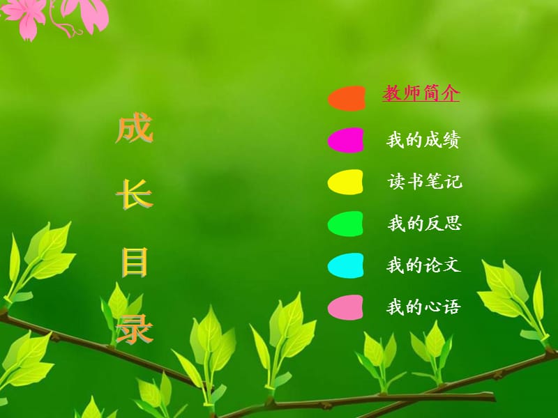 《教师成长记录模板》PPT课件.ppt_第2页