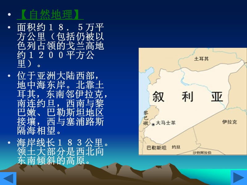 《叙利亚政局动荡》PPT课件.ppt_第2页