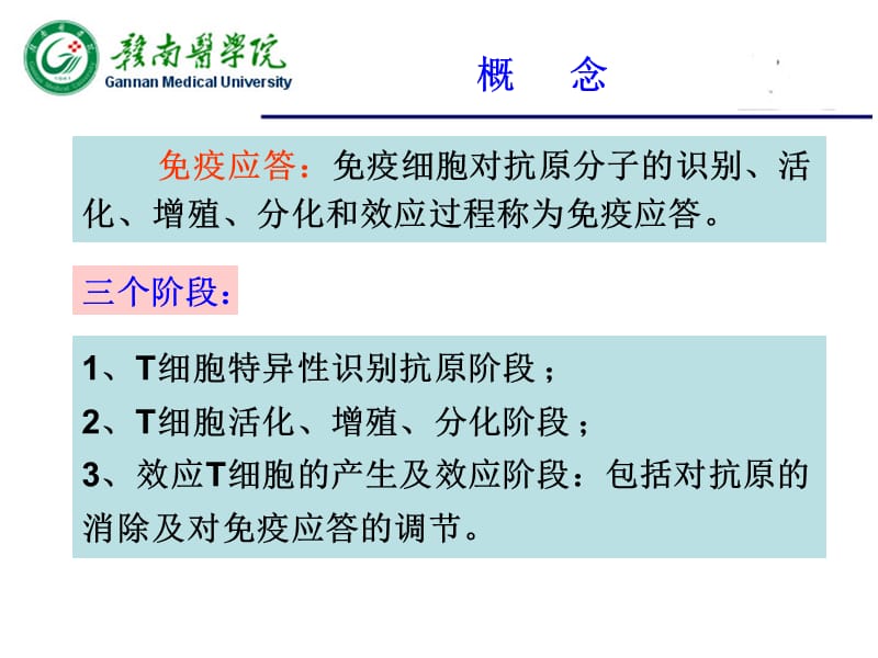 T淋巴细胞介导的适应性免疫应答.ppt_第2页