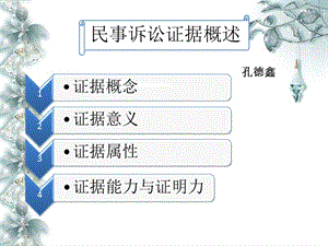 《民事訴訟證據(jù)概論》PPT課件.pptx