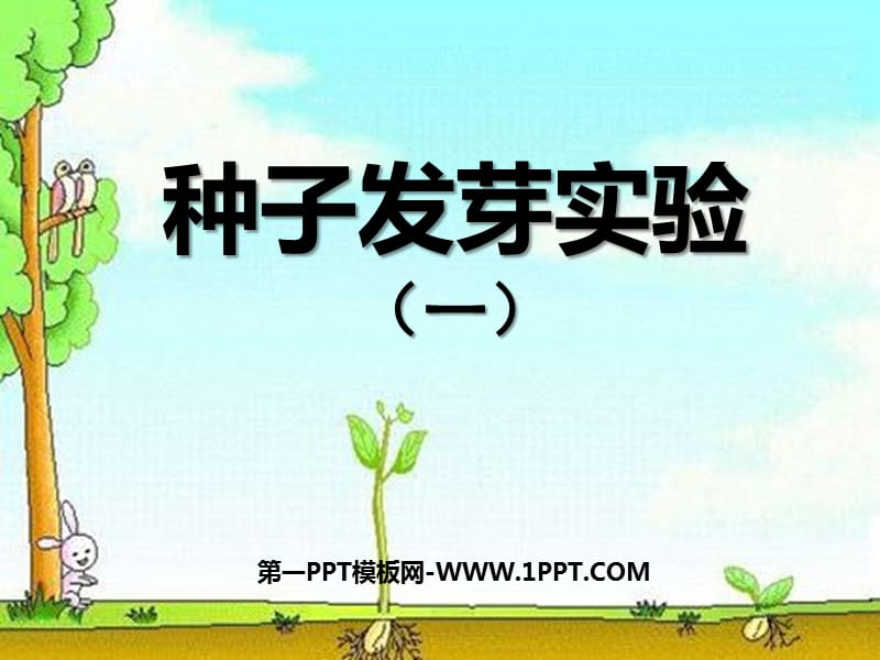 《种子发芽试验一》PPT课件.ppt_第1页