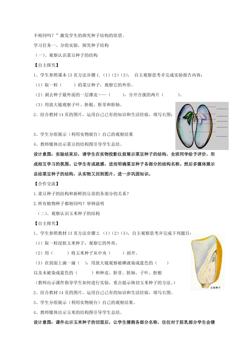 2019年六年级生物下册 第三单元 第一章 第三节 种子植物教学设计 鲁科版（五四制）.doc_第2页