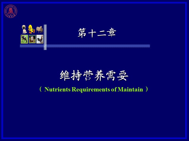 《维持营养需要》PPT课件.ppt_第1页