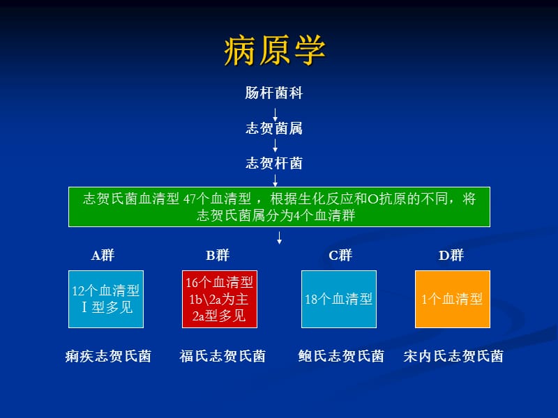 《细菌性痢疾》PPT课件.ppt_第3页