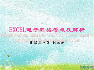 EXCEL電子表格考點(diǎn)及解析.ppt