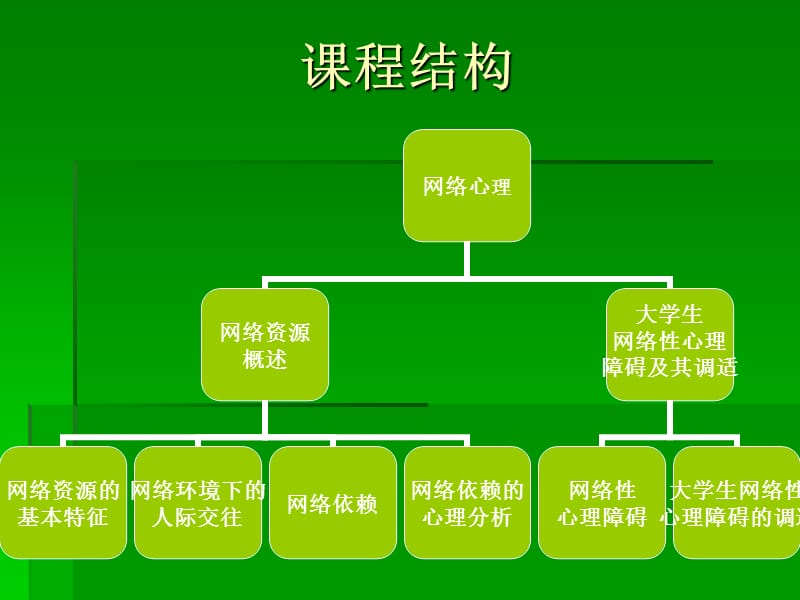 《网络心理心理学》PPT课件.ppt_第2页