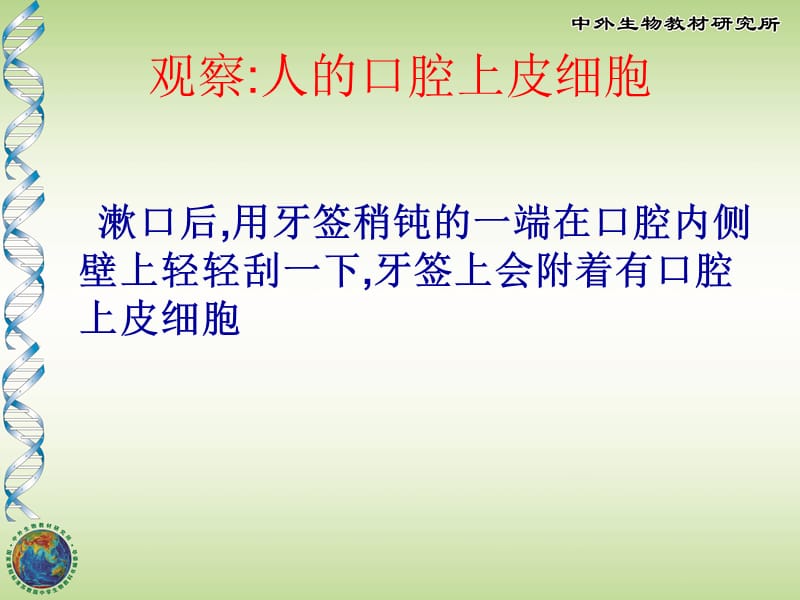 《人和动物细胞》PPT课件.ppt_第3页