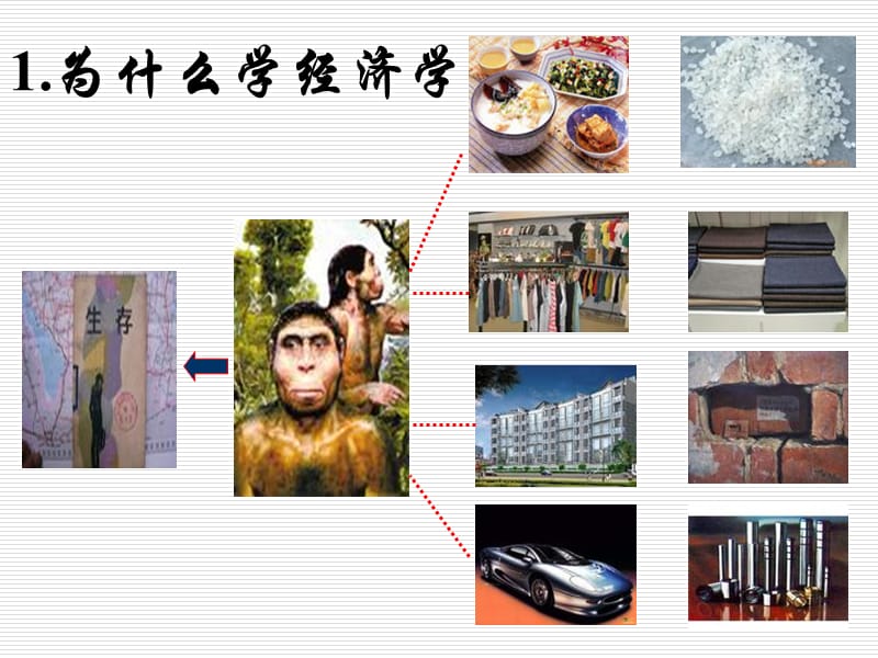 《微观经济学导言》PPT课件.ppt_第3页