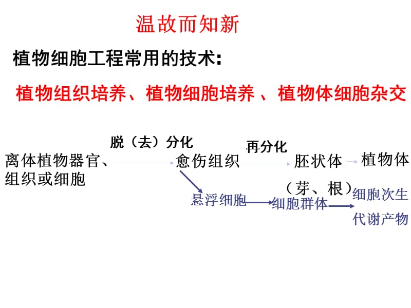 《动物细胞培养》PPT课件.ppt_第3页