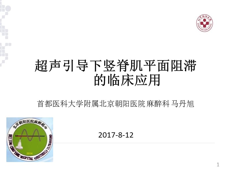 超声引导下竖脊肌阻滞在临床应用ppt课件_第1页