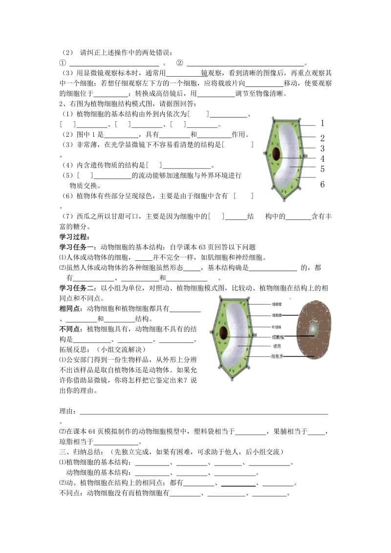 2019年六年级生物上册 2.1.3 观察动物细胞导学案 鲁科版五四制.doc_第3页