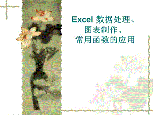 Excel數(shù)據(jù)處理、圖表制作、常用函數(shù).ppt