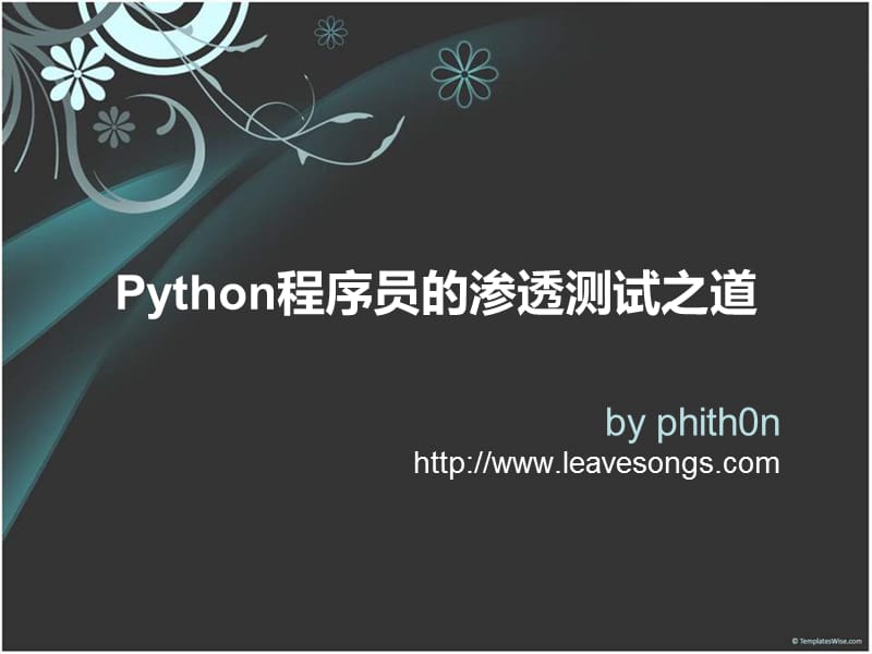 Python程序员的渗透测试之道.ppt_第1页