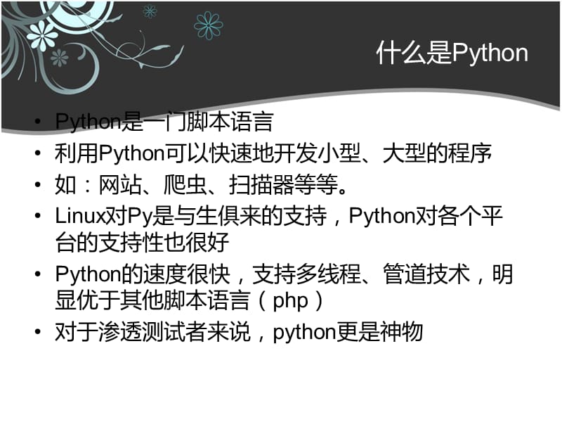 Python程序员的渗透测试之道.ppt_第2页