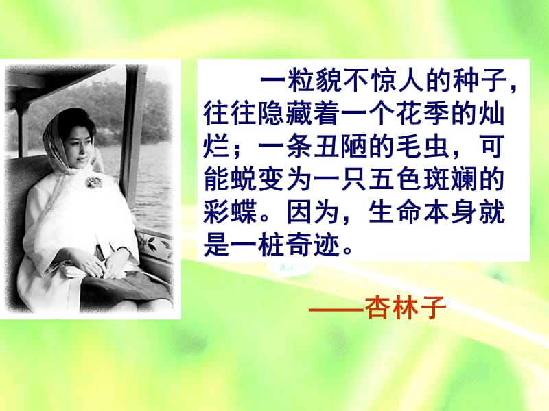 jt1生命生命(高效课堂公开课).ppt_第1页