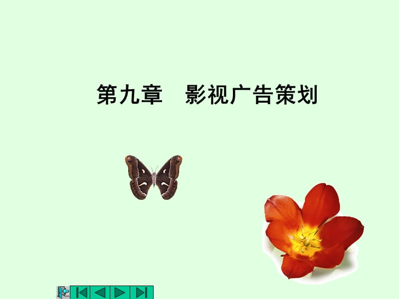 《影视广告策划》PPT课件.ppt_第1页