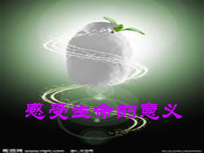 《感受生命的意義》PPT課件.pptx_第1頁