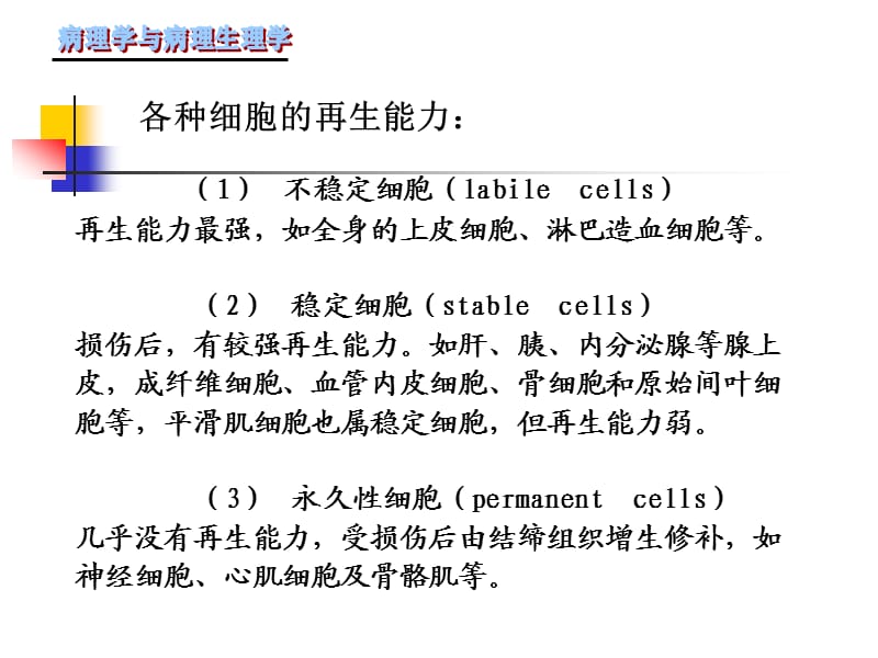 《细胞组织的修复》PPT课件.ppt_第3页