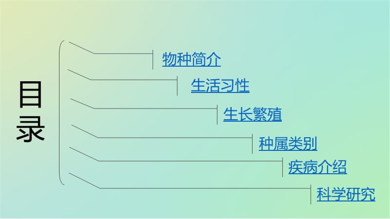 《园丁鸟品种介绍》PPT课件.ppt_第2页