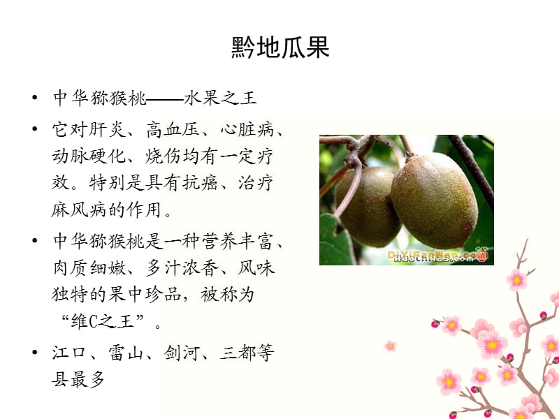 《吃货分享贵州特产》PPT课件.ppt_第3页