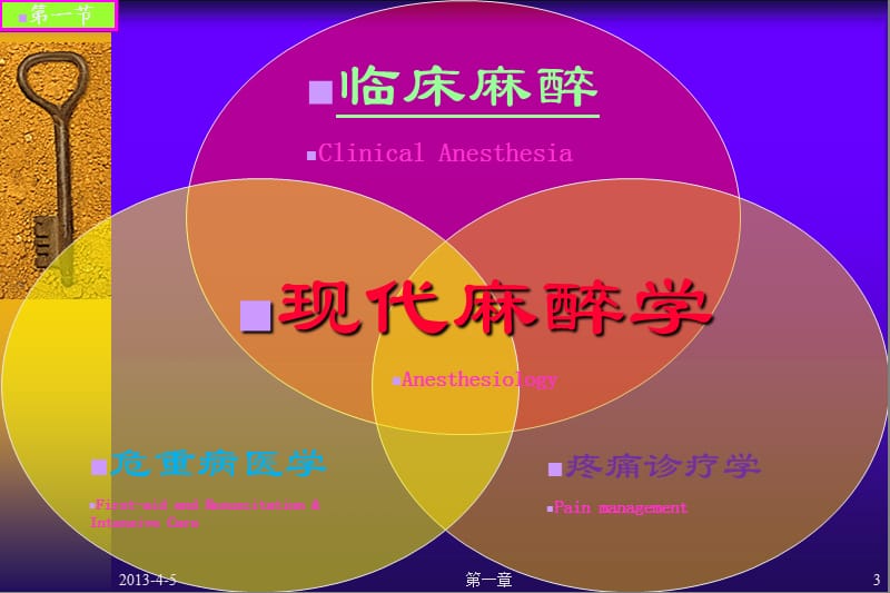 《疼痛治疗学-绪论》PPT课件.ppt_第3页