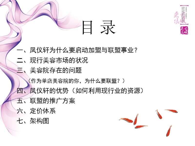 《美容院联盟方案aa》PPT课件.ppt_第2页