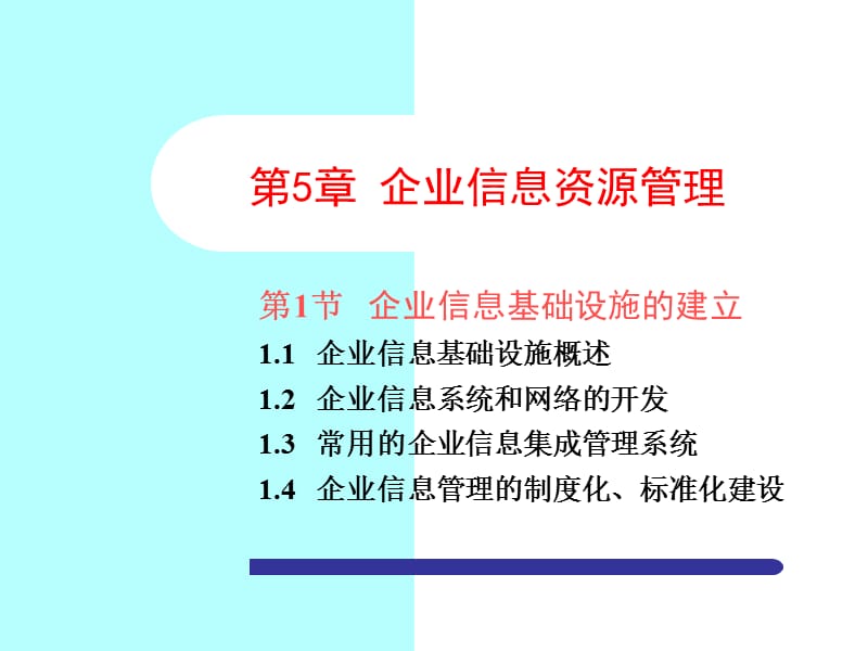 《企业信息资源管理》PPT课件.ppt_第1页