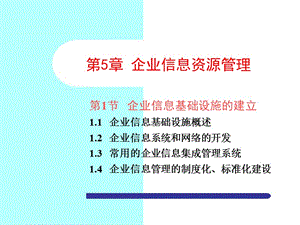 《企業(yè)信息資源管理》PPT課件.ppt