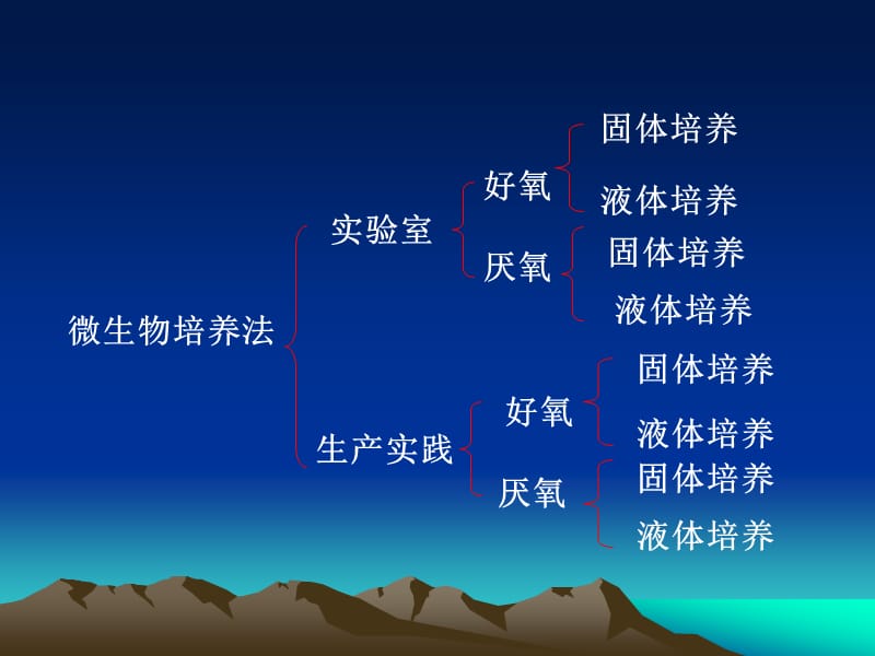 《微生物的培养方法》PPT课件.ppt_第3页