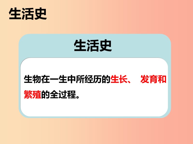 七年级生物上册3.6.1种子萌发形成幼苗课件3新版北师大版.ppt_第3页