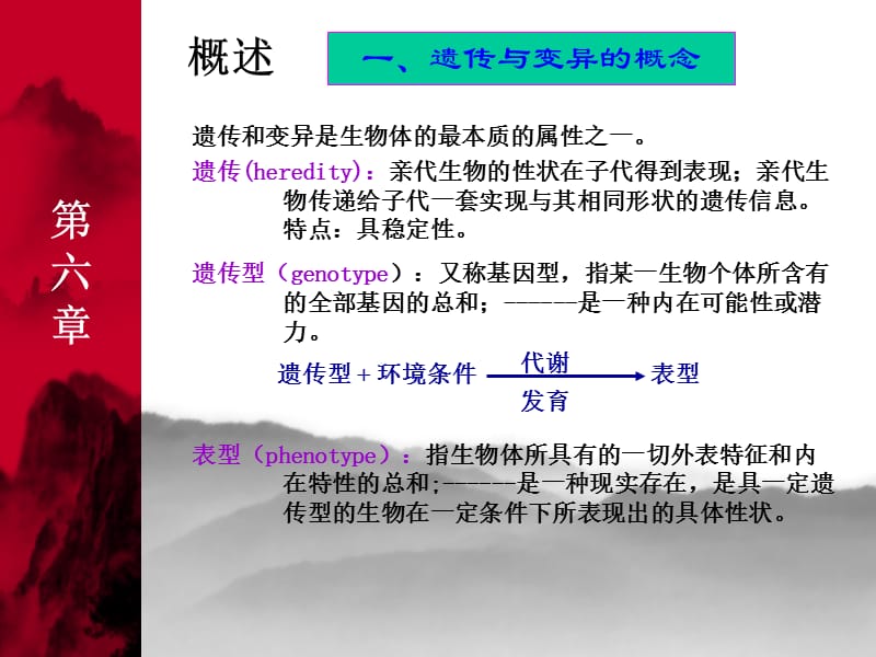 《细菌的遗传变异》PPT课件.ppt_第3页