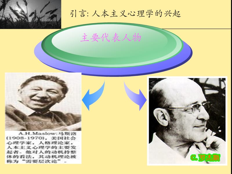 《人本主义学习理论》PPT课件.ppt_第3页