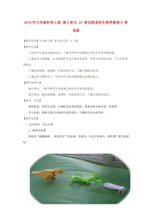 2019年六年級科學(xué)上冊 第5單元 23 密切聯(lián)系的生物界教案8 青島版.doc