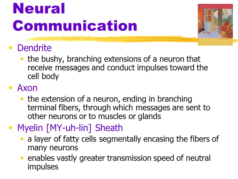 MyersPsy02神经科学与行为.ppt_第3页