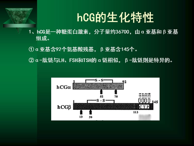 HCG定量检测的意义-PPT(精).ppt_第3页