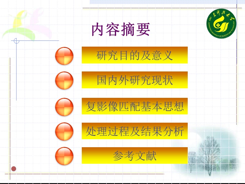 INSAR复影像配准方法.ppt_第2页