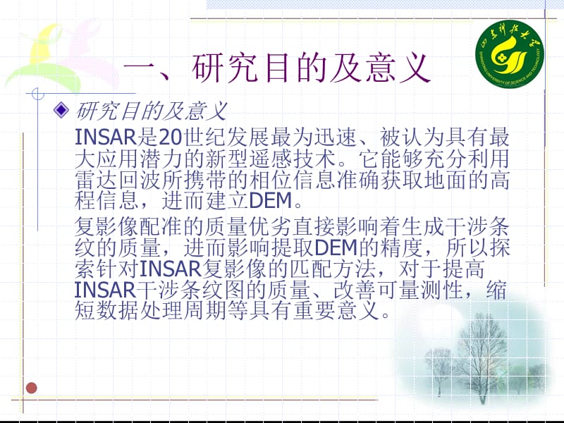 INSAR复影像配准方法.ppt_第3页