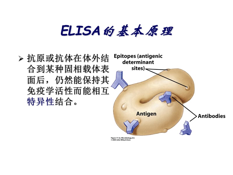 ELISA的基本原理和质量控制.ppt_第3页