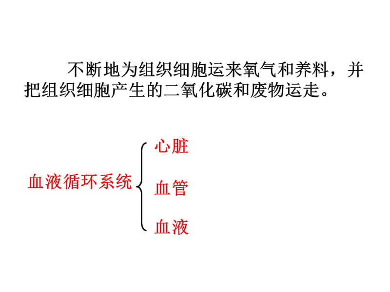 《人体内物质的运输》复习课件.ppt_第2页