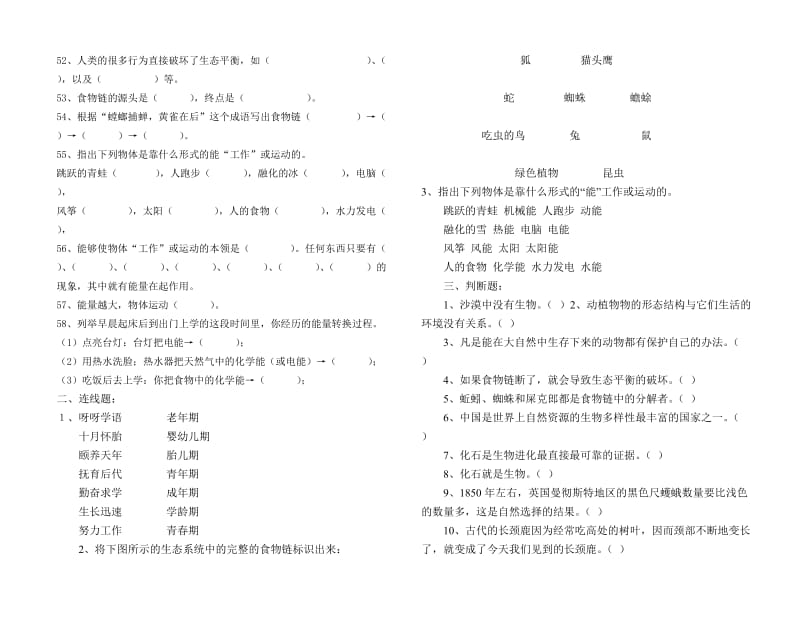 2019年六年级下册复习试卷.doc_第3页