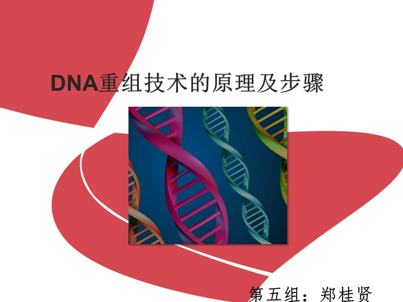 DNA重组技术的原理及步骤.ppt_第1页