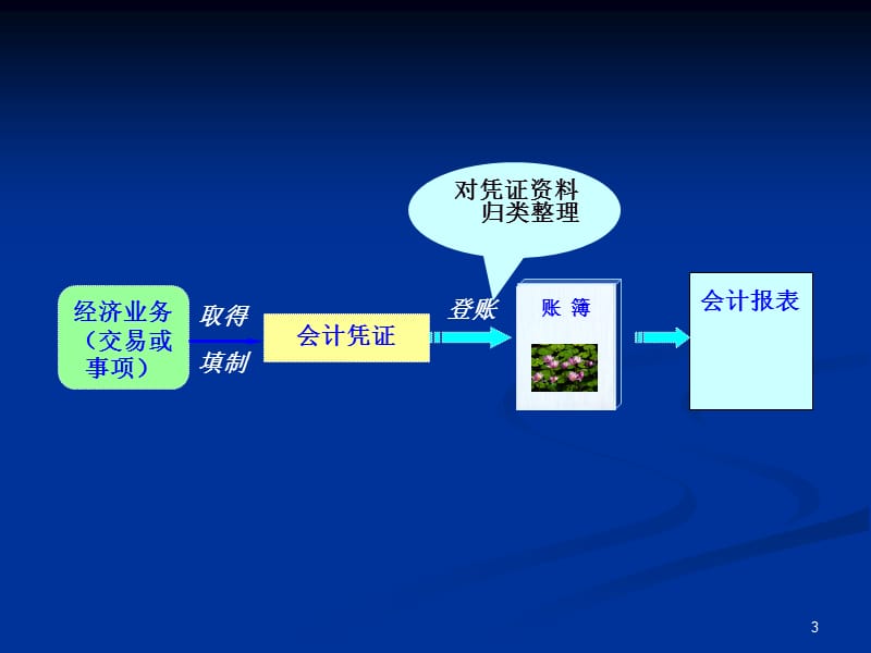 《会计核算载体》PPT课件.ppt_第3页